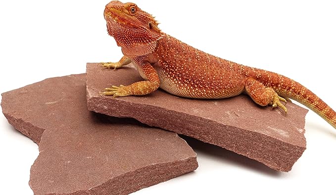Natural Habitat Basking Rocks for Reptiles, Wyoming Rose, Medium Size Pair,