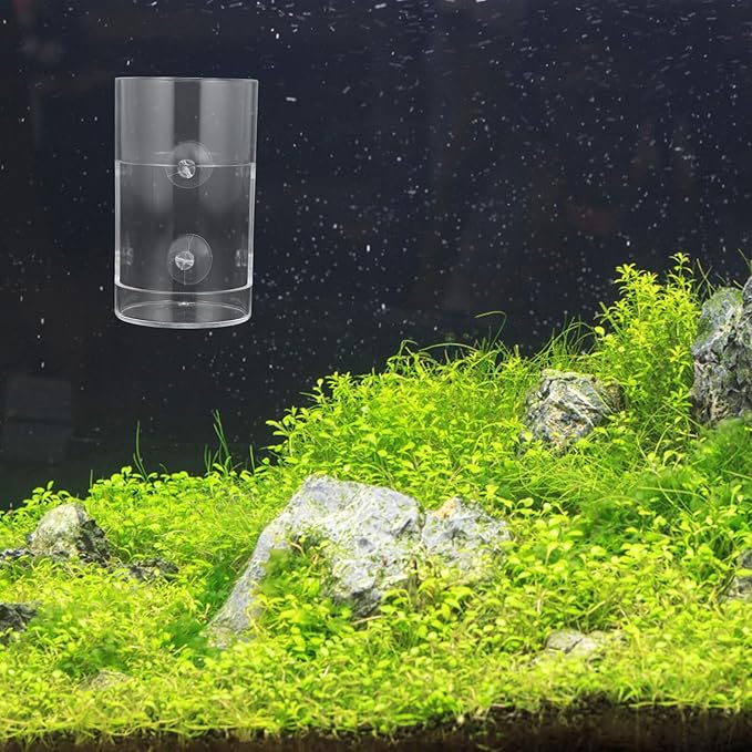 Acrylic Fish Feeding Holder Automatic Feeder with Suction Cup for Aquarium Betta Shrimp Tank Accessories Small Size Fixed-Point Feeding Tool for Fish Tanks