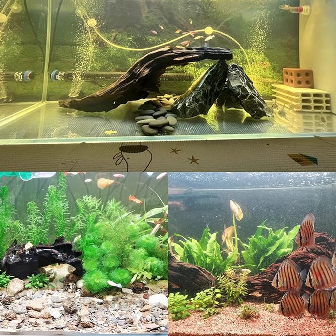 Tfwadmx Natural Driftwood for Aquarium Decor-4 Pieces 5-8" Assorted Driftwood,Fish Tank Drift Wood Decoration, Freshwater Wood Branches Ornament for Reptile Terrarium,Air Plants