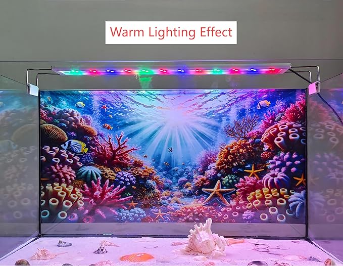 Undersea Coral Aquarium Background Marine Life Starfish Sunlit Fish Tank Background 24x12 Inches PVC Glass Container Decoration with Tapes
