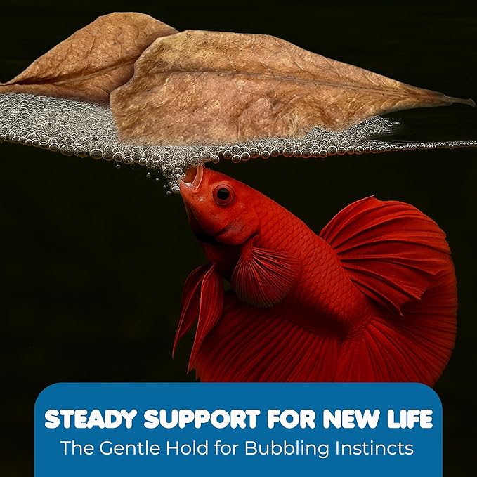 SunGrow 50 pcs Catappa Indian Almond Leaves – 2” Water Conditioner for Betta Fish Tank, Aquarium Leaf for Fish Breeding, Shrimp, Goldfish, Guppy & Frogs