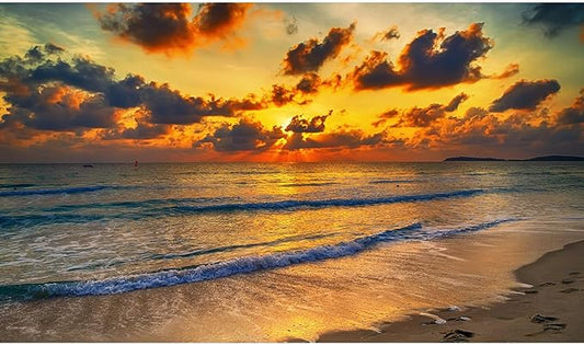 Sunset Tropical Beach Aquarium Background Sunrise Ocean Seashore Fish Tank Background Ocean Seascape Terrarium Backgrounds Sunset Over the Seacoast Sea Waves Sand Reptile Tank Backgrounds 24x12in