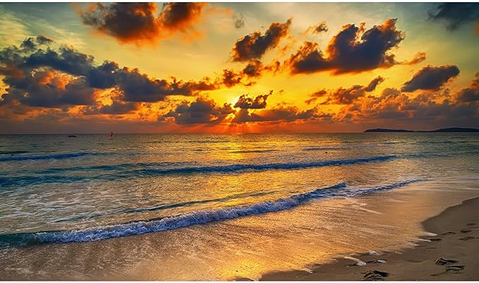 Sunset Tropical Beach Aquarium Background Sunrise Ocean Seashore Fish Tank Background Ocean Seascape Terrarium Backgrounds Sunset Over the Seacoast Sea Waves Sand Reptile Tank Backgrounds 36x24in