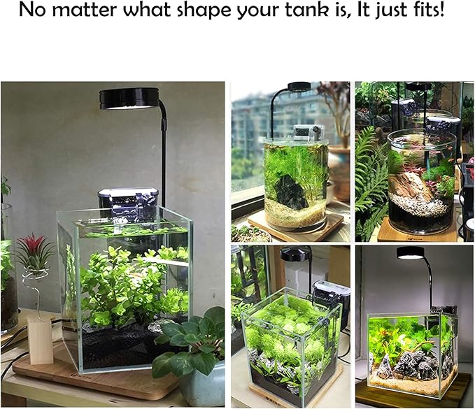 Height Adjustable Full Spectrum Nano LED Light, fits Nano Tanks, Wabi kusa, Potted Plants, Betta Tanks