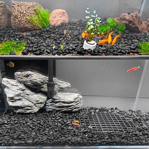 Black River Rocks for Plants 5.5 LB Small Decorative Pebbles 1"-1.5" Polished Stones Smooth Aquarium Gravel for Fish Tank Vases Indoor Planters Outdoor Landscaping Garden (88oz)