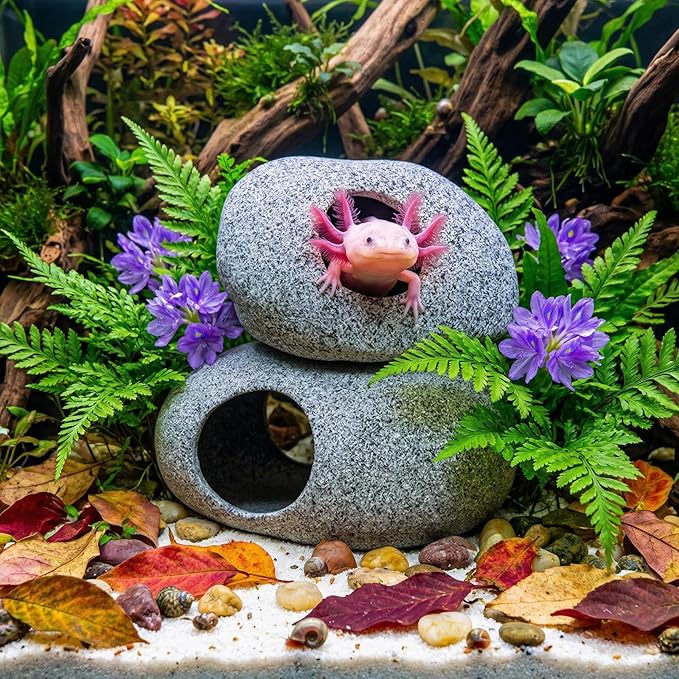 Aquarium Cave Decor - 2 PCS Natural Fish Tank Rocks for Betta Hideout and Shrimp Breeding, Hand-Polished Smooth Edges, PH Neutral, Ideal for 5-20 Gallon Tanks, Aquascaping Stone Ornaments
