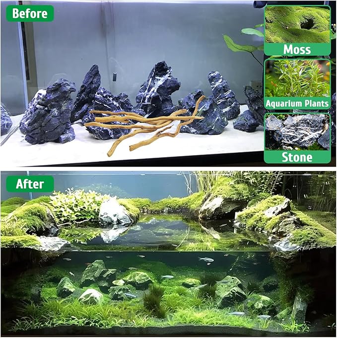 kathson Natural Driftwood for Aquarium, Red Moor Driftwood Mix 12''-16'' Long Driftwood for Decorations Aquarium Driftwood Assorted Shapes Natural Aquarium Decor Driftwood(100g,Delicate Branches)