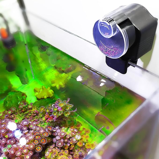 Gavigain Fish Feeder, Compact Automatic Fish Feeder Fish Food Dispenser Feeding Tool for Aquarium Fish Tank