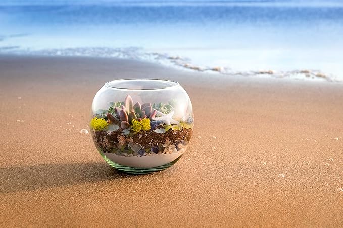 SuperMoss (24308) Decorative Sand – Fine White Sand for Vase Filler, Terrariums, Zen Gardens, Aquarium Sand, Crafts & Top Dressing for Plants, 2qt