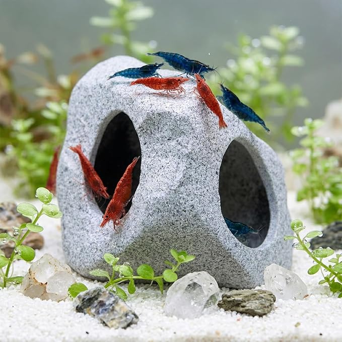 Premium Beta Fish Tank Decor, Beta Fish Tank Decorations, Betta Fish Tank Accessories, Fish Rocks Hiding, Playing, Resting Spots - Avoid Aggressive Behavior (Alien)