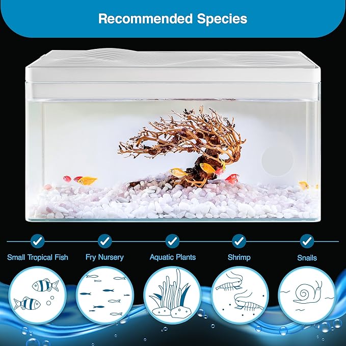 Harmony 8 Gallon All-in-One Aquarium Kit, Award-Winning Fish Tank with Lid, Integrated Filtration, LED Light, Low-Iron Glass, White Tank with White Top
