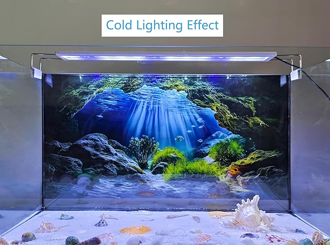 Underwater Cave Aquarium Background Rocks Water Plants Sunburst Landscape Fish Tank Background 30x18 Inches PVC Glass Container Decoration with Tapes