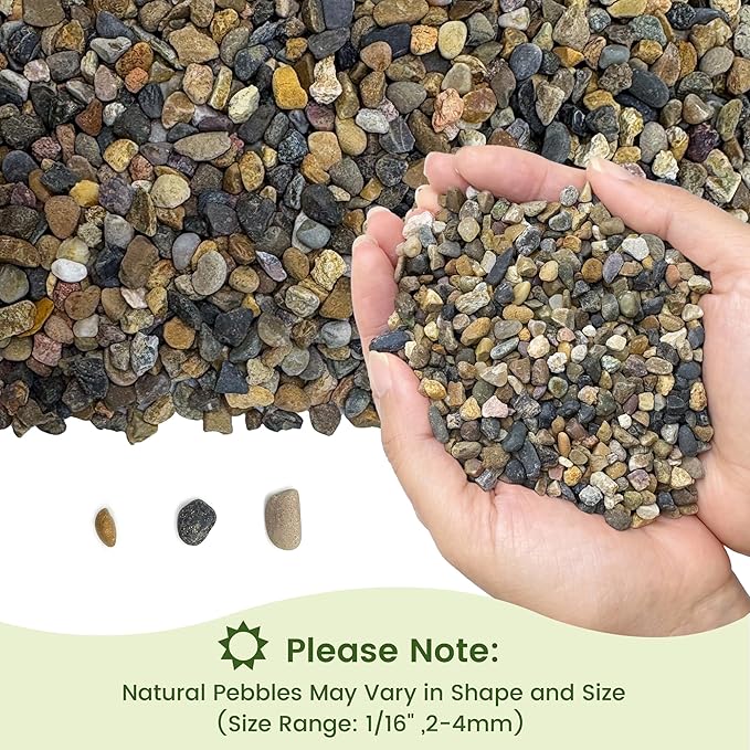 SIDONG 5LB Natural Aquarium Gravel, Small River Rocks for Fish Tank, Garden & Vase Decor - 1/16 Inch Pea Gravel, 2-4mm Polished Stones for Landscaping, Potted Plants, Terrarium