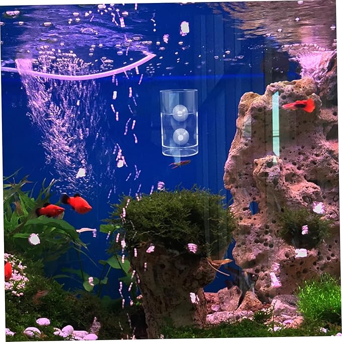 Fish Feeding for Aquariums Clear Floating Circle Cup Efficiently Distributes Food for Freshwater Tanks Fish Feeding Supplies