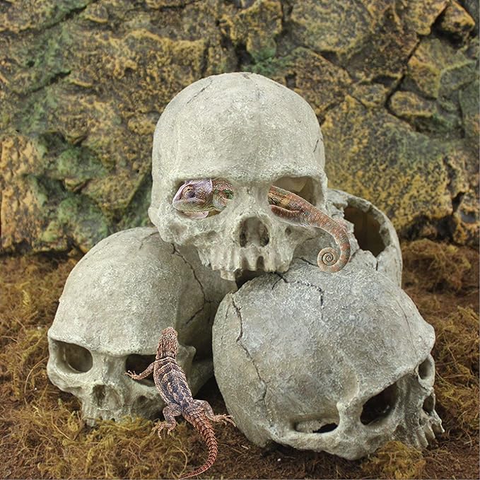 Tfwadmx Aquarium Skull Decor, Resin Fish Tank Decorations Aquarium Shrimp Cave Betta Fish Hiedout Reptile House for Small Fish,Shrimp