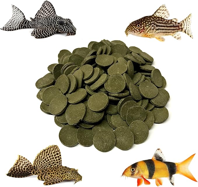 Premium Sinking Spirulina Algae Wafers Ideal for Plecos, Catfish, Shrimp, Snails, and Other Bottom Feeding Fish 5 lbs. Jar (18 mm Spirulina)