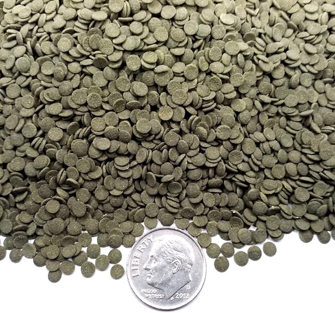 3.5mm - 1/8" Spirulina, Algae & Veggies, Sinking Micro Wafers for Bottom Fish, Shrimp, Crabs, Crayfish, All Tropical Fish…2-lb Med Jar