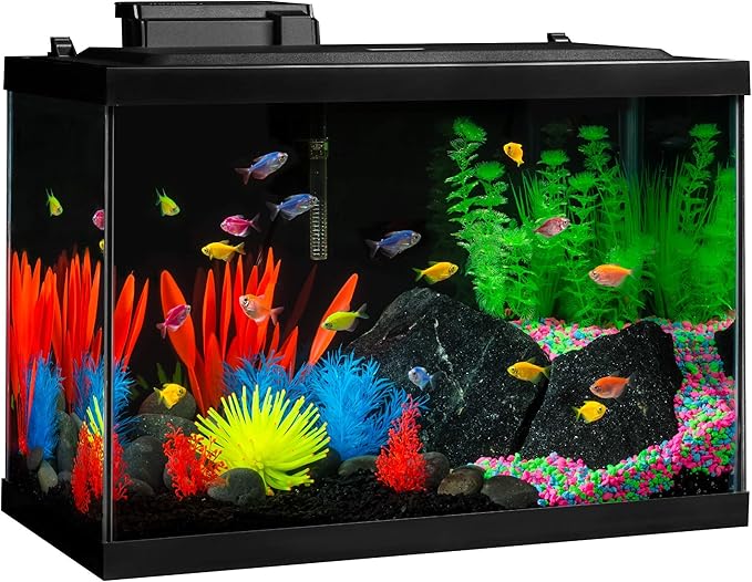 GloFish Live Fish Collections (Tetra Tulip)