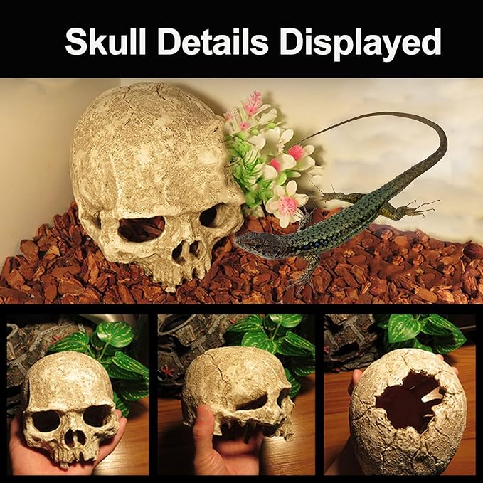 Tfwadmx Aquarium Skull Decor, Resin Fish Tank Decorations Aquarium Shrimp Cave Betta Fish Hiedout Reptile House for Small Fish,Shrimp