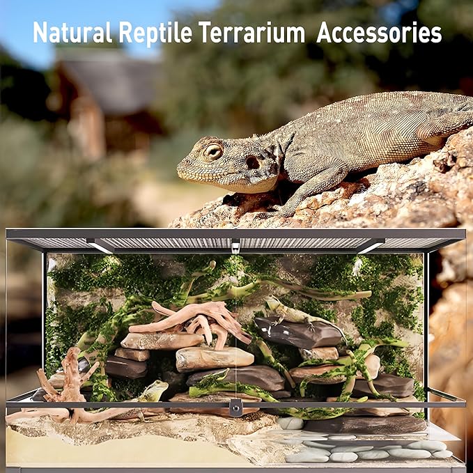 Kaiyuan Dynasty 5Pcs 6-8" Sinkable Spider Wood Natural Aquarium Decor Spiderwood for Reptile Decor Fish Tank Decorations Aquatic Plants Hardscaping