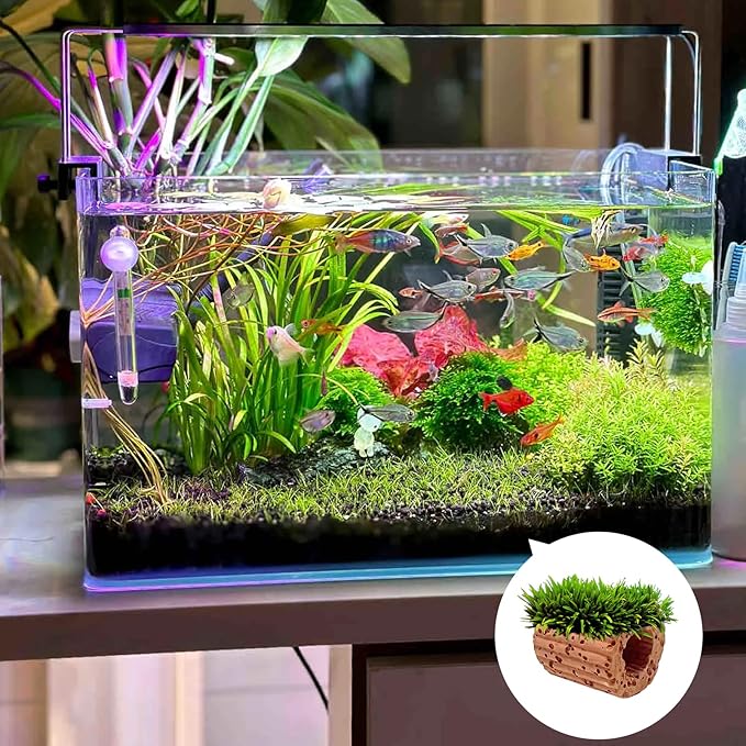 Rainmae 16 Pack New Upgrade Aquarium Plant Weights, Aquatic Water Plant Fixed Rings, Water Plants Cultivation Fixed Ring Plant Pot, Landscape Ceramic Pottery Gravity Ring for Fish Tank Accessories
