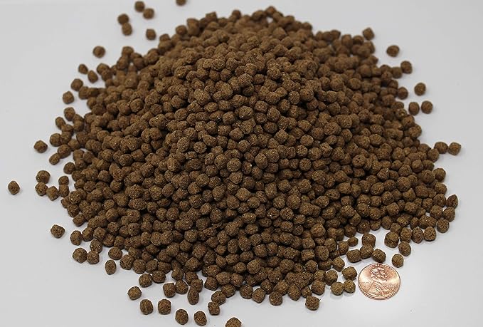 Blackwater Gold-N Premium Diet 8.8lb Medium Pellet