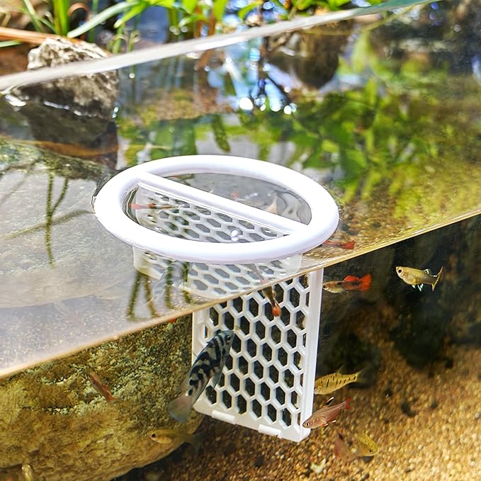 Floating Seaweed Feeder, Aquarium Algae Holder with Feeding Ring, Floating Nori Feeder for Fish Tank, Seaweed Clip for Saltwater Freshwater Fish (White)