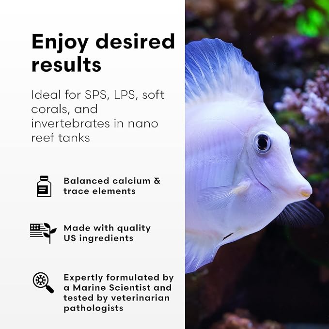 Brightwell Aquatics NanoCode A – Balanced Calcium, Magnesium & Trace Elements for Nano Reef Aquariums – Supports Coral Growth & Aragonite Formation – No Phosphate or Silicate, 250 ml