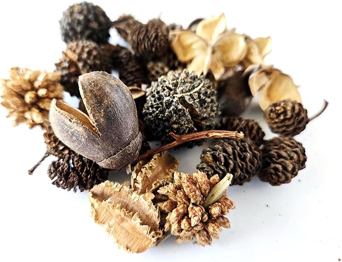 Natural Botanical Seed Pods, 37-Piece Premium Small Seed Pod Mixed Variety Pack, Bioactive Botanicals, Nano Terrarium Decor, Isopod Food and Hides, Aquarium Botanicals