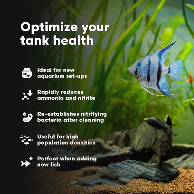 Brightwell Aquatics MicroBacter Start XLF - Concentrated Freshwater Nitrifying Bacteria - Quick Start Fish Tank Starter, Lift Microbe Levels & Water Filtering - Aquarium Water Treatments, 8.45 fl oz
