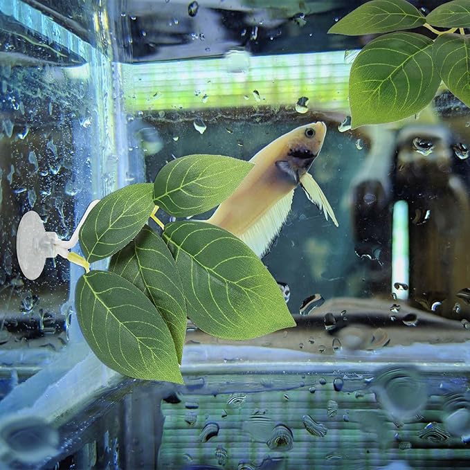 Hariendny 3 Pcs Fish Tank Accessories Betta Fish Leaf Pad Aquarium Décor Simulating The Natural Habitat for Betta Spawning Grounds Resting Bed with Plastic Suction Cup