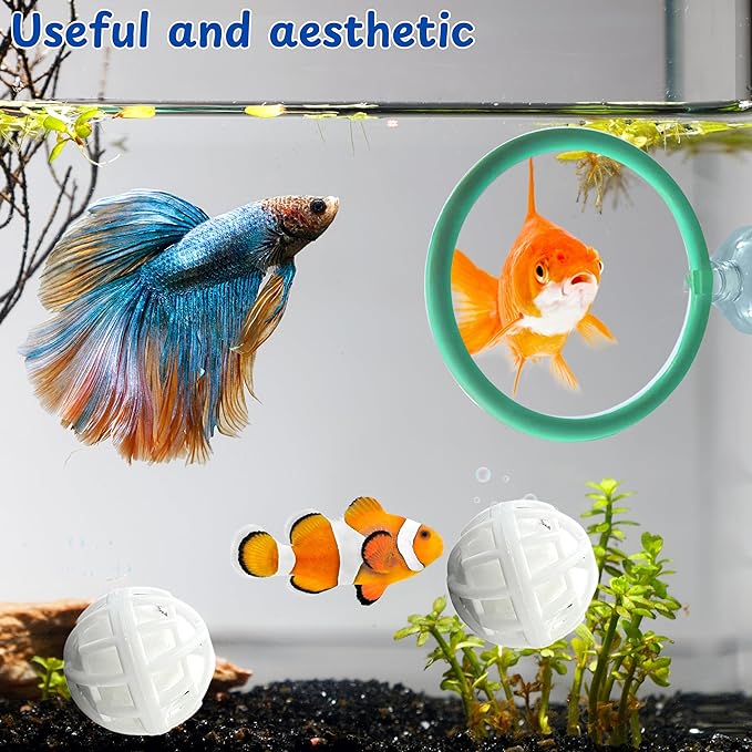Betta Fish Exercise Ring and Filter Balls Set, Fish Feeder Ring and Nitrifying Ball, Betta Fish Toys for Small Tank, Betta Ring, Beta Fish Training Loop, Aquarium Toys for Pets Turtle (Green, M-70mm)