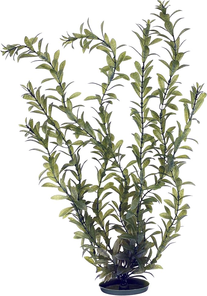 Marina Aquascaper Fish Tank Decorations, Hygrophila Plant, 20-Inch