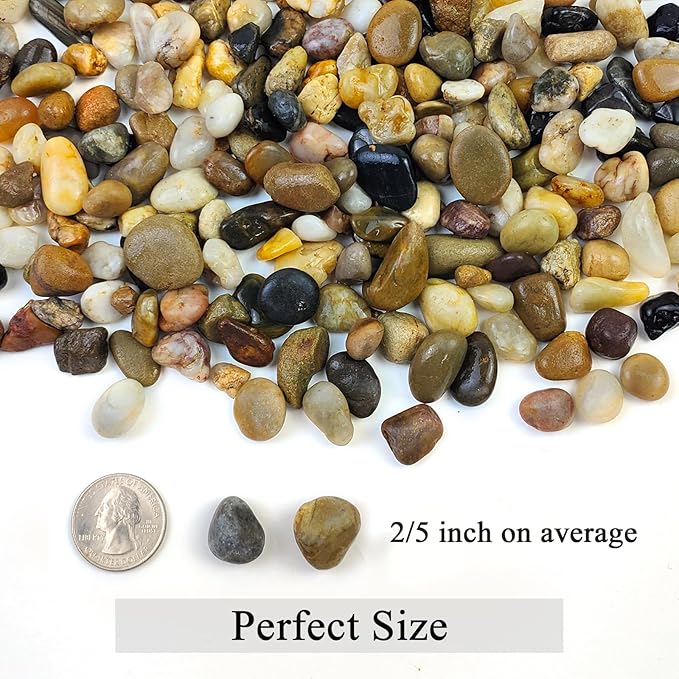 FANTIAN 20 lbs Pea Gravel Pebbles for Indoor Plants, 2/5 Inch Mixed Color River Rocks for Aquarium, Succulent, Vase, Bonsai, Garden, Plant Soil Cover and Outdoor Landscaping Rocks