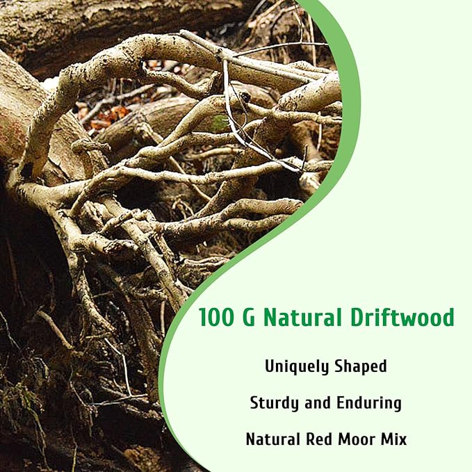 kathson Natural Driftwood for Aquarium, Red Moor Driftwood Mix 12''-16'' Long Driftwood for Decorations Aquarium Driftwood Assorted Shapes Natural Aquarium Decor Driftwood(100g,Delicate Branches)