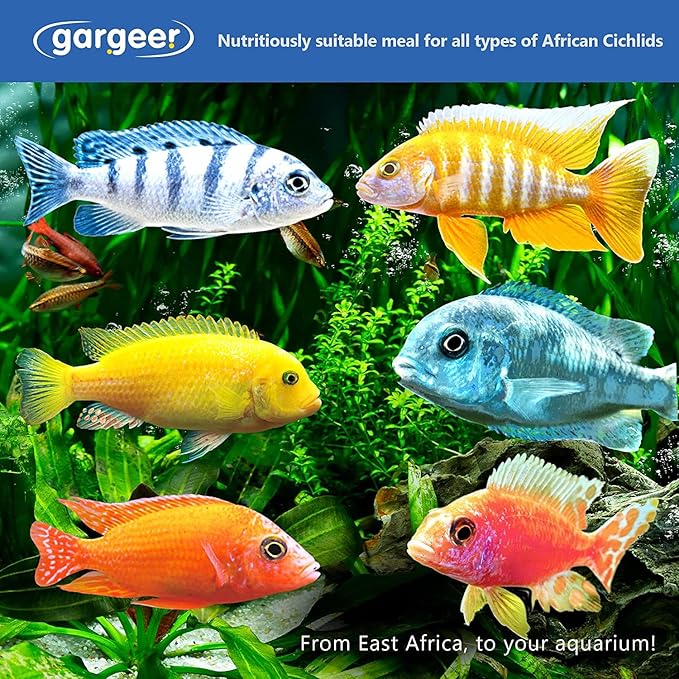 Gargeer 16oz African Cichlid Fish Food for Advanced Breeders. Complete African Cichlid Gel Diet for Both Juveniles & Adults. Made in The USA Using Premium Ingredients, Wild Nutrition Gourmet Formula