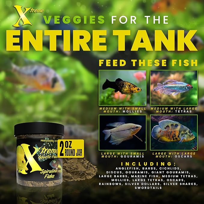 Xtreme Spirulina Flakes - Balanced Herbivorous Diet for Tropical and Marine Fish, Enhanced Health, Vibrant Colors - USA Farm Grown - Ideal for Cichlids, Barbs, Tetras and Guppies (2oz)