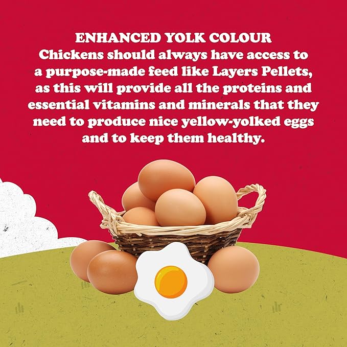 Feathers and Beaky & Beaky Free Range Layers Pellets 15kg, Clear