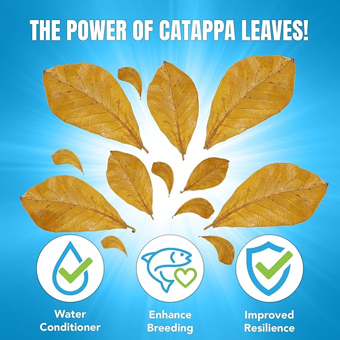 JOR 25 Pack Large Catappa Indian Almond Leaves for Bettas, 7-9 Inches, Effortless Water Conditioning, Great Values, Help Bettas and Tropical Fish Thrive