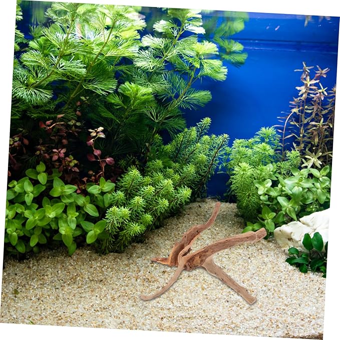 Milisten 3pcs Aquarium Driftwood Branches Unique Spider Wood for Fish Tank and Reptile Terrarium Decoration Random Shapes Versatile Underwater Aesthetic Enhancer