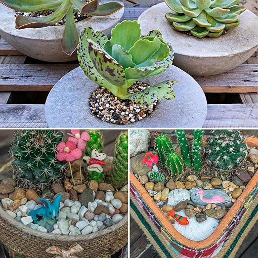 5LB Aquarium Gravel, 1/4" Pea Gravel for Fish Tank, Small River Rocks for Garden Decoration, Landscaping, Vase Filling, Flower Pot Paving(4-8MM)
