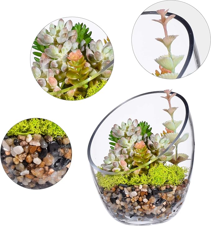 Clear Slant Cut Bubble Bowl, Fish Bowl & Plant Terrarium, Candy Jar Slant Cut Globe Vase Center Piece, Round Flower Vase, (6.9“ Tall .5.5“ Wide) …