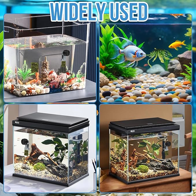 Magnetic Seaweed Feeder Clip, Saltwater Fish Aquarium Accessories Supplies Algae Magnet Seaweed Feeder Magnetic Clips,Goldfish Fish Tank Feeding Ring Suitable for Aquatic Pets