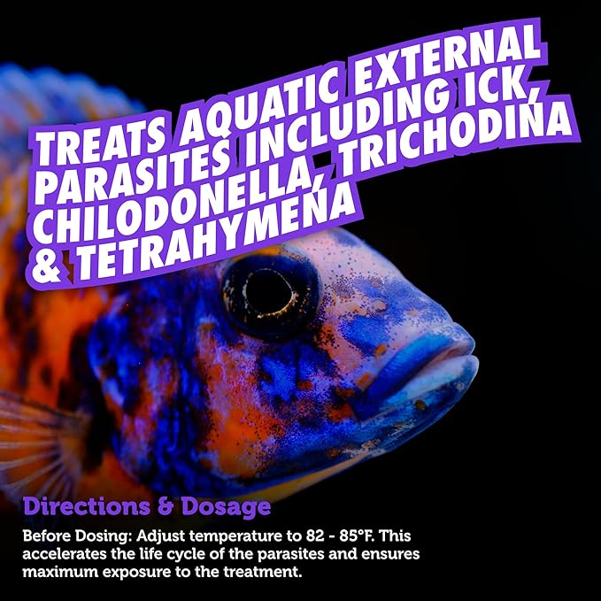 Fritz Aquatics FixIck Treatment for Fresh and Saltwater Fish (16 oz)