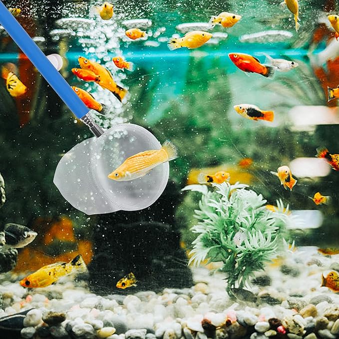 Fish Tank Shrimp Net, 4 Pcs Telescopic Aquarium Net Fish Skimming Net Fish Tank Aquarium Accessories Net Fish Goldfish Net Net with Extendable Stainless Steel Handle, Black Blue