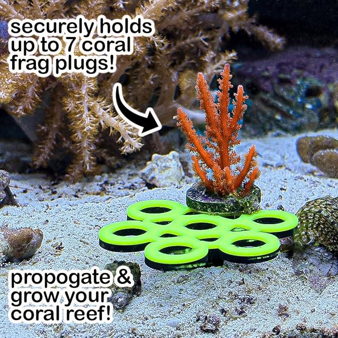 GlowRack UV Sand Frag Rack – Reef-Safe Coral Propagation Holder | Holds 7 Standard ½” Frag Plugs | Low-Profile, Substrate Base | Glows Under Reef Lighting | Handmade Aquarium Decor (UV Green)