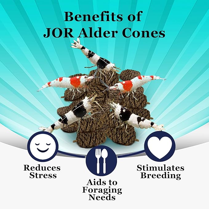 JOR 30 Pack Alder Pine Cones, Aquarium Decor Benefits Shrimp and Tropical Fish, Lower pH, Softens Water, Foraging Chew Treat for Parrots & Guinea Pig