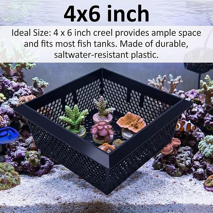 Floating Coral Basket for Reef Tanks (4x6 inch), Anemone and Frag Isolator Cup Mount, Saltwater Aquarium Safe
