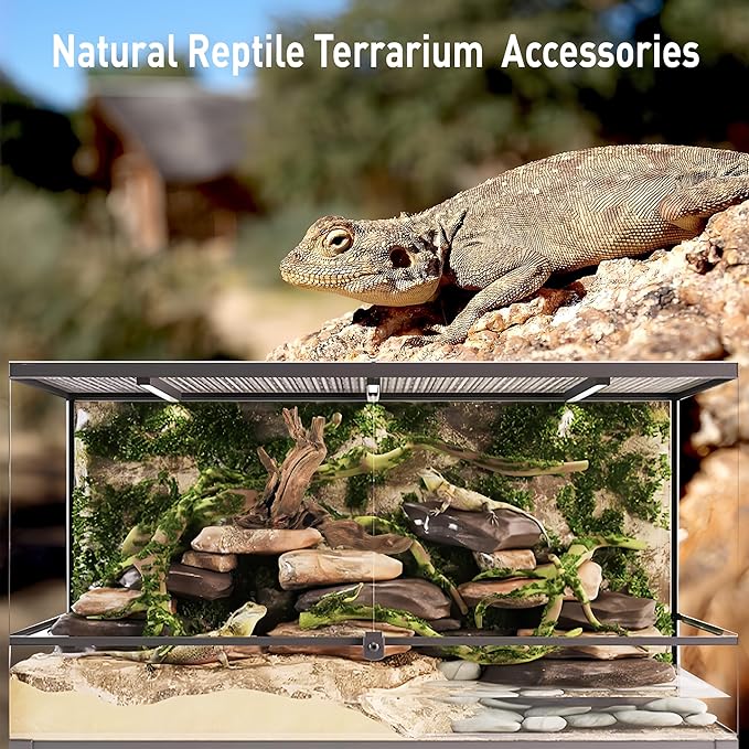 Kaiyuan Dynasty 2Pcs 10-12" Natural Coral Driftwood for Fish Tank Decorations Aquarium Driftwood for Reptile Aquatic Plants Aquascaping