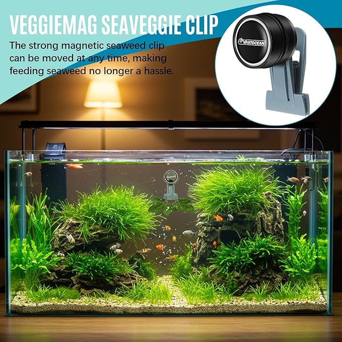 Blulu 2 Pcs Magnetic Seaweed Feeding Clips Saltwater Aquarium Tank Accessories Algae Magnet Seaweed Feeder for Fish and Aquatic Pets, Automatic Fish Feeder